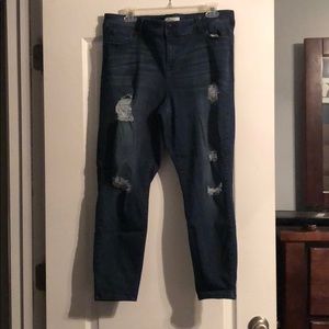 Molly Isadora jeggings, excellent condition